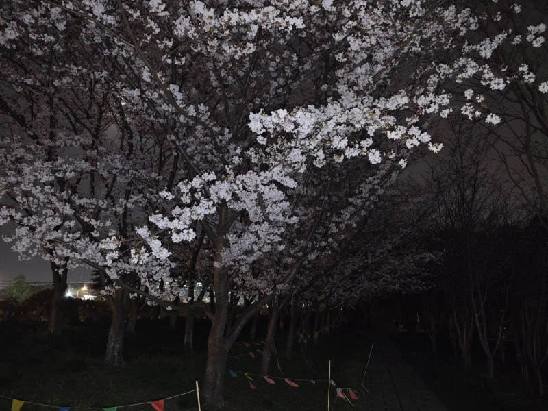 一竞技ONE口碑_一竞技汽车