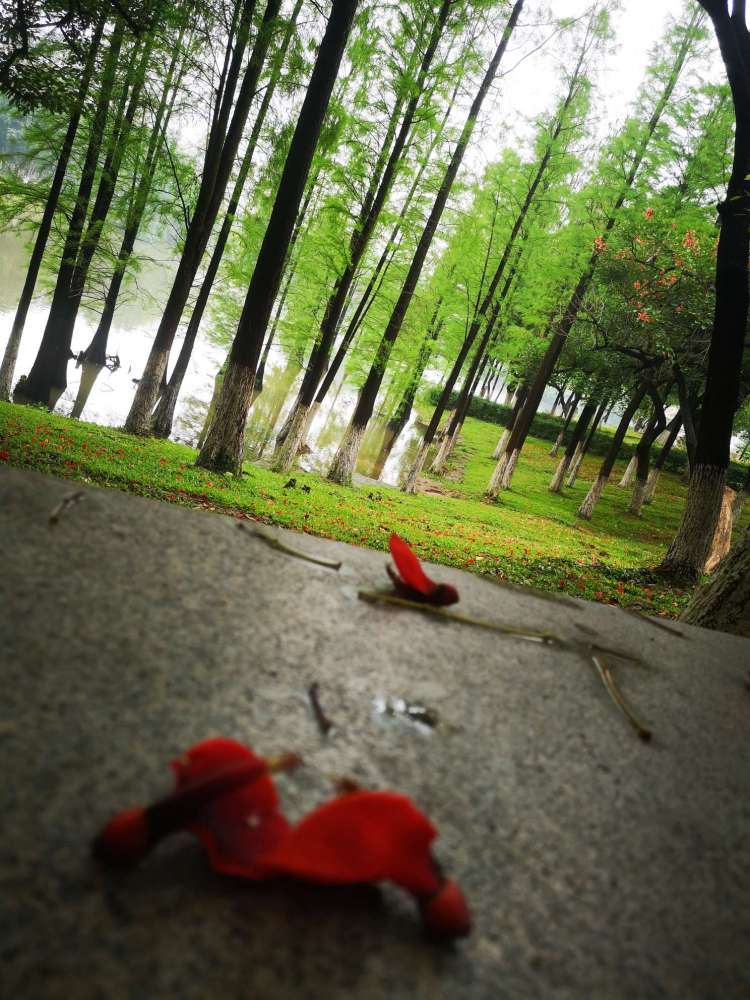 雨停了 出来逛逛 静等one 理想汽车