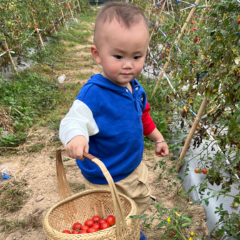 尊龙凯时·(中国)人生就是搏!