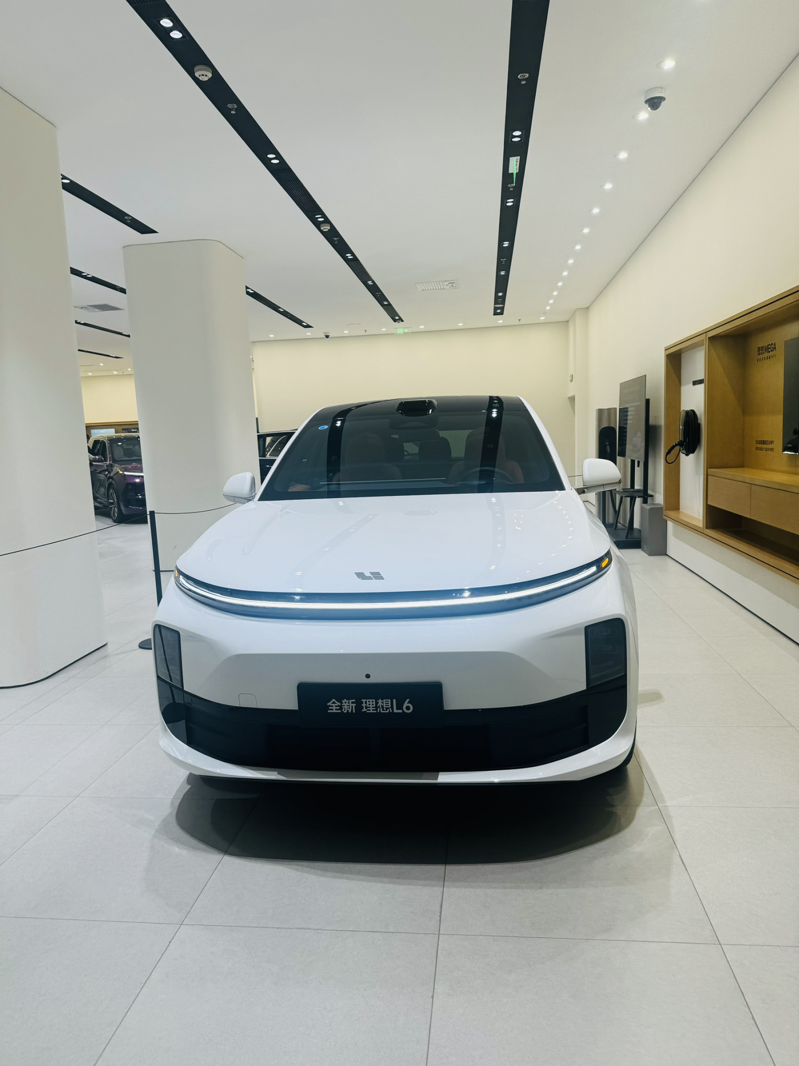 年轻家庭的首选奶爸车_理想汽车