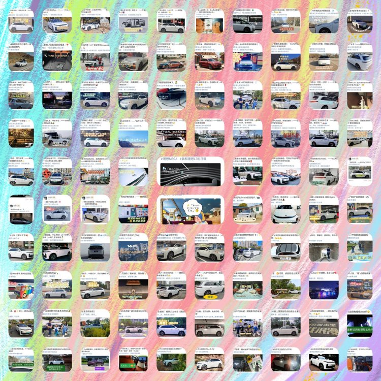 初心如磐奋楫笃行成为理想车主一年的故事